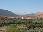 img 1216755162 491