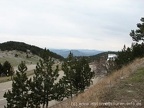 img 1217017407 923