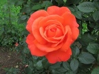 2011 07 07 16 58
